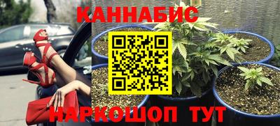 герыч Моздок